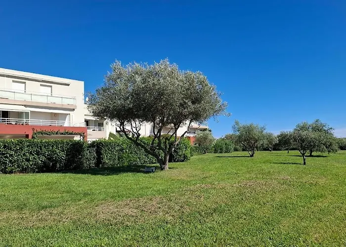 Grand Front De Climatise-piscine-parking- Juan Les Pins Daire